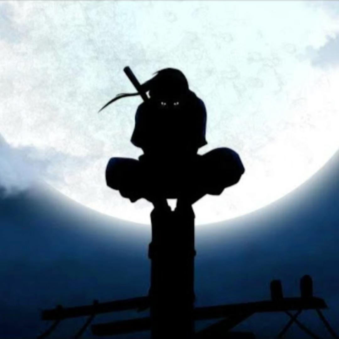 鼬                  .