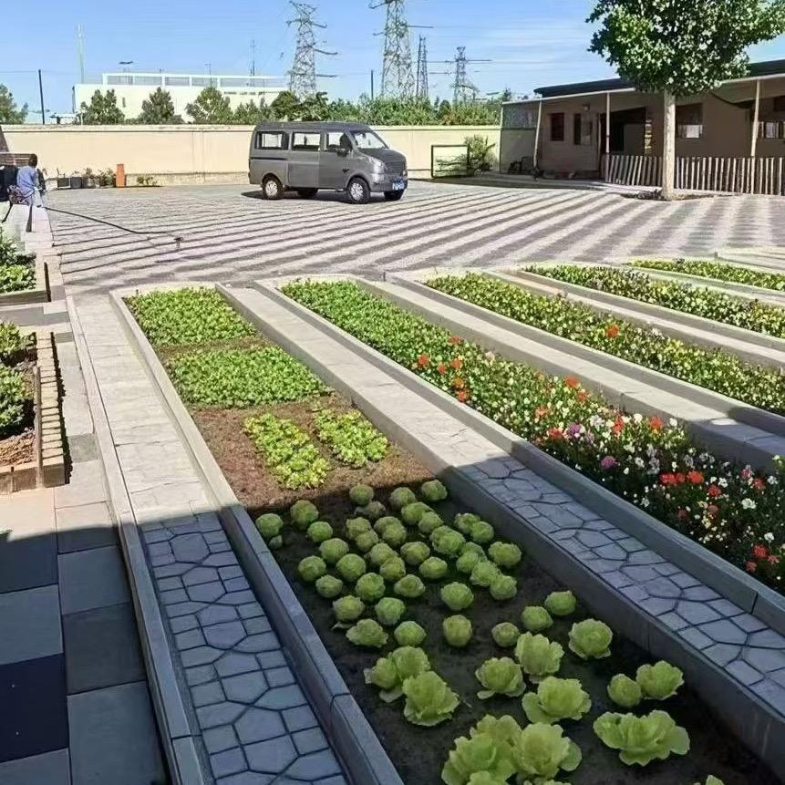 菜沟板严选工厂店