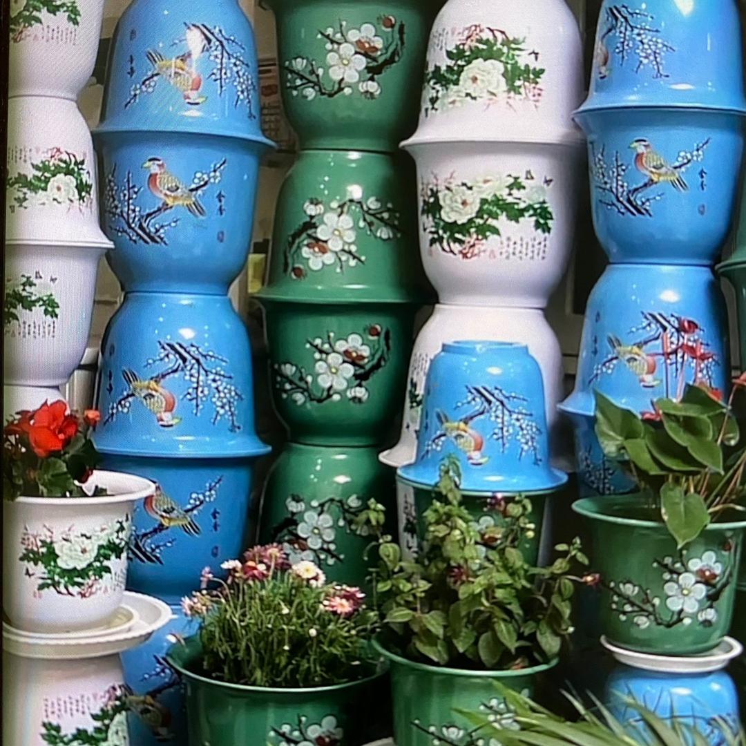 蘩花花盆