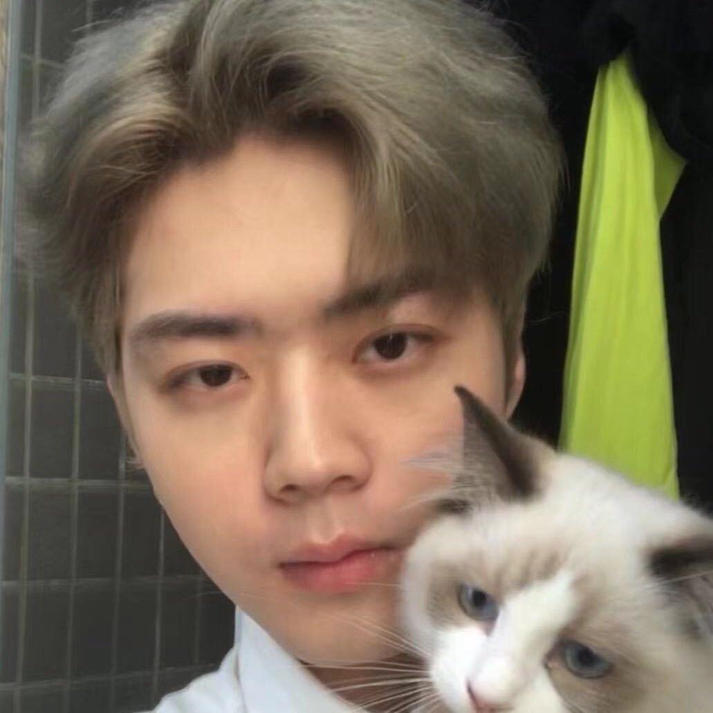 水贝黄金瑞安（日常号