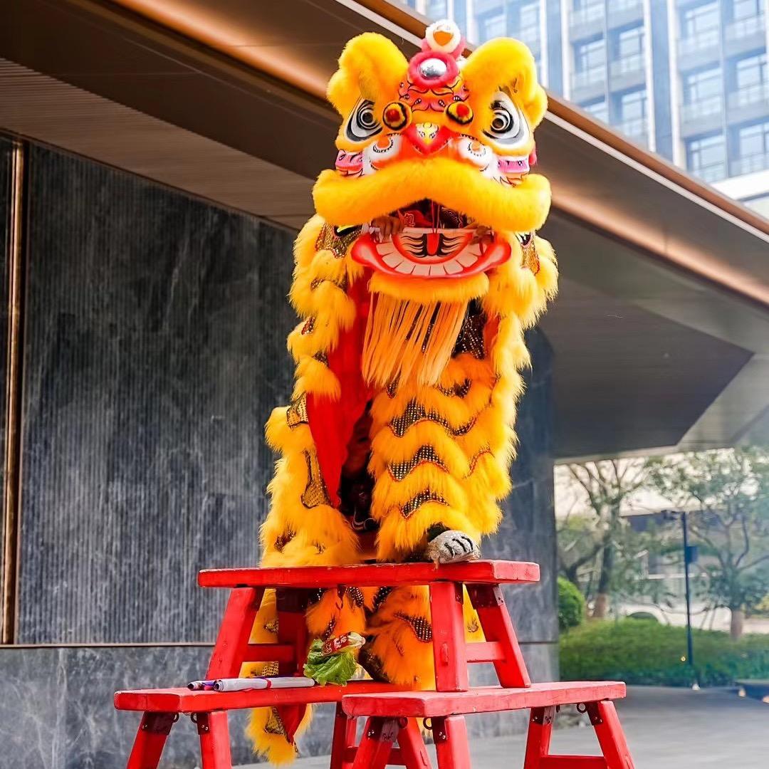 广州粤威龙狮💯(商演)