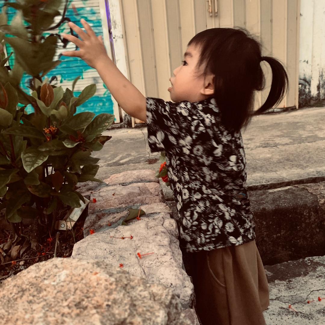 💫 陈婉桐成长录