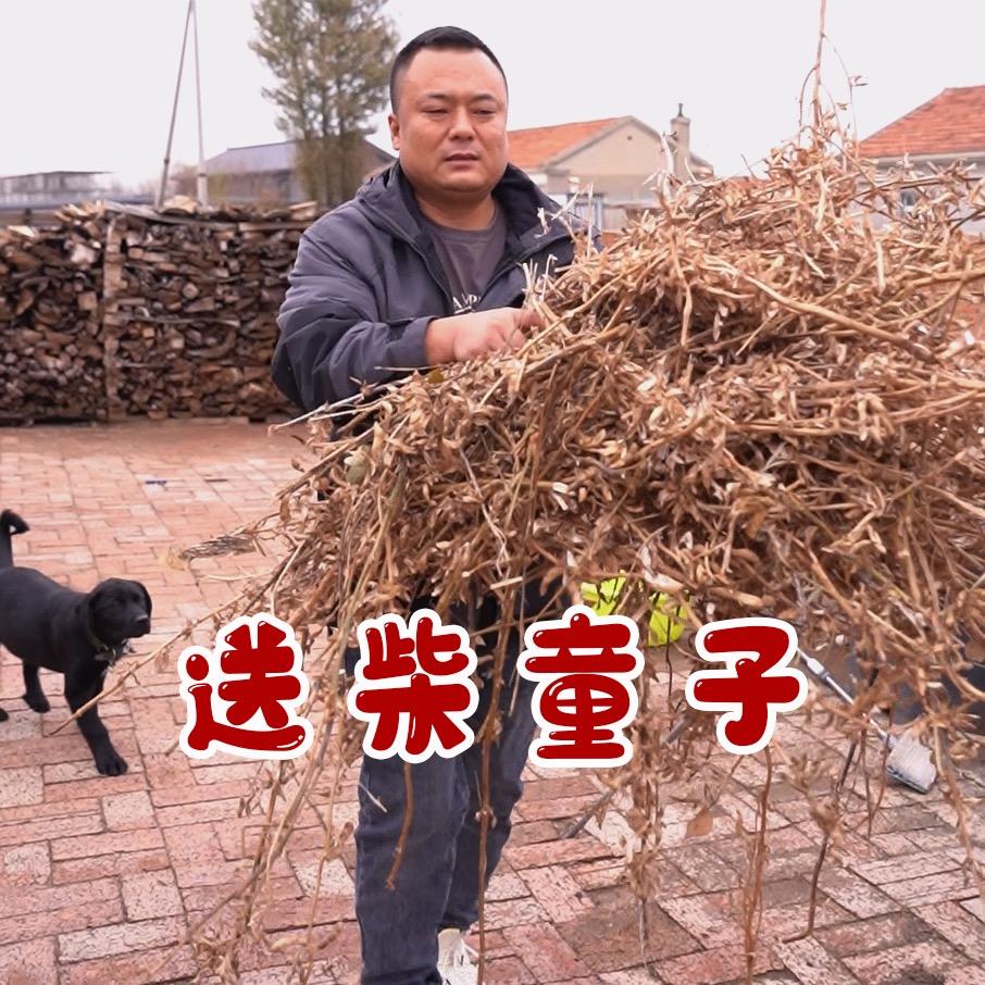 送柴童子-王皓