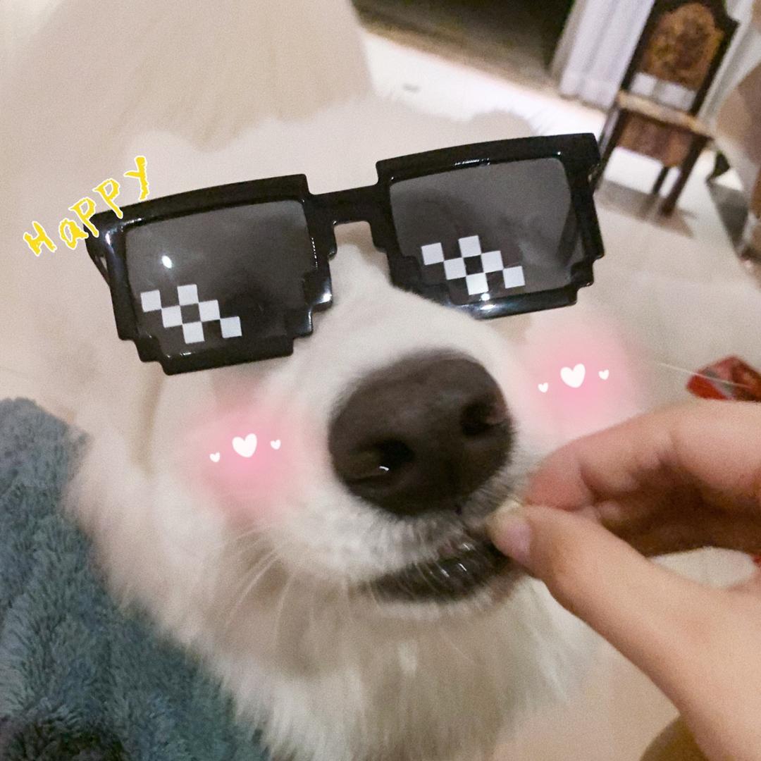 Mo师傅爱刨地