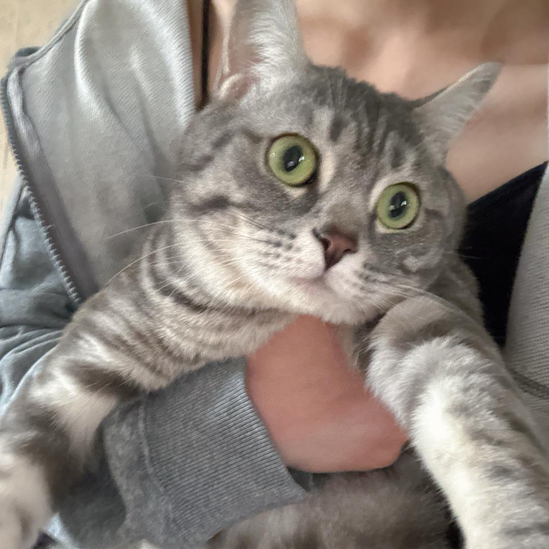 钱钱主理人