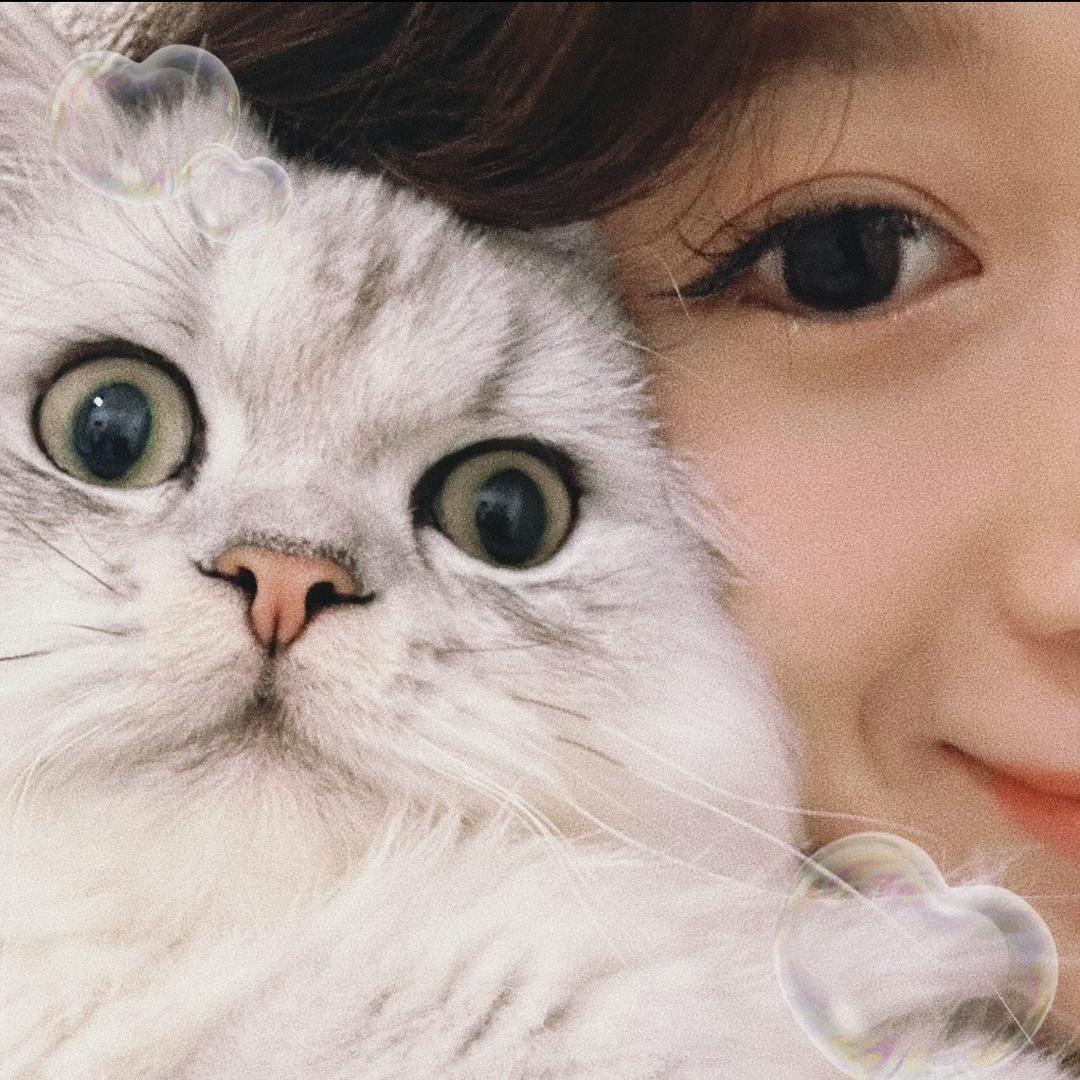 小猪包啾咪