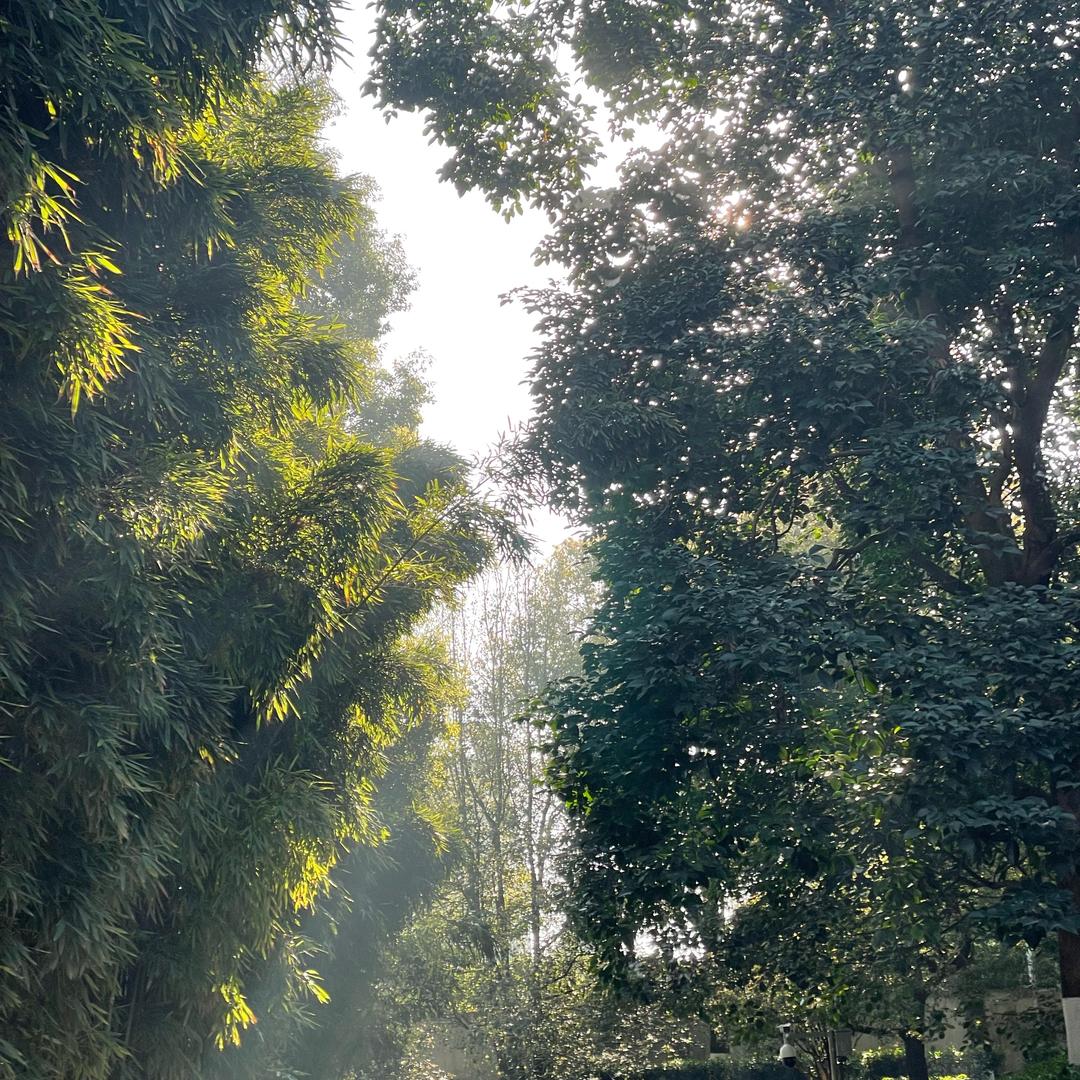 呜呜呜呜你都觉得