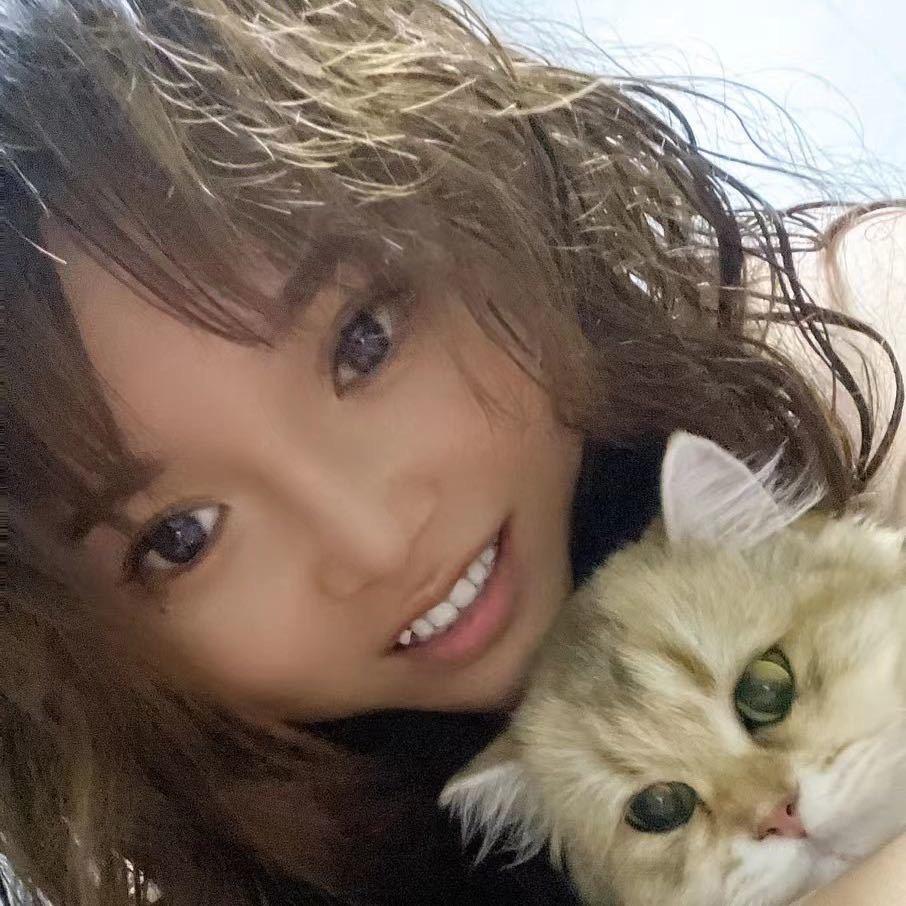 雅雅养猫(英短猫舍)