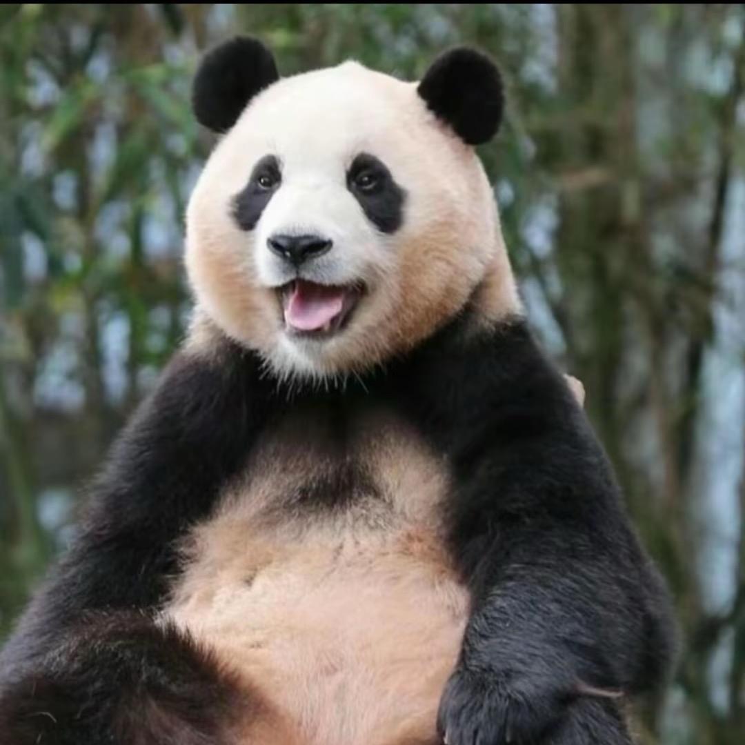 王七七