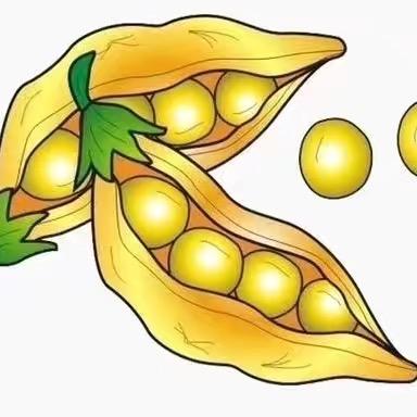 王金伟