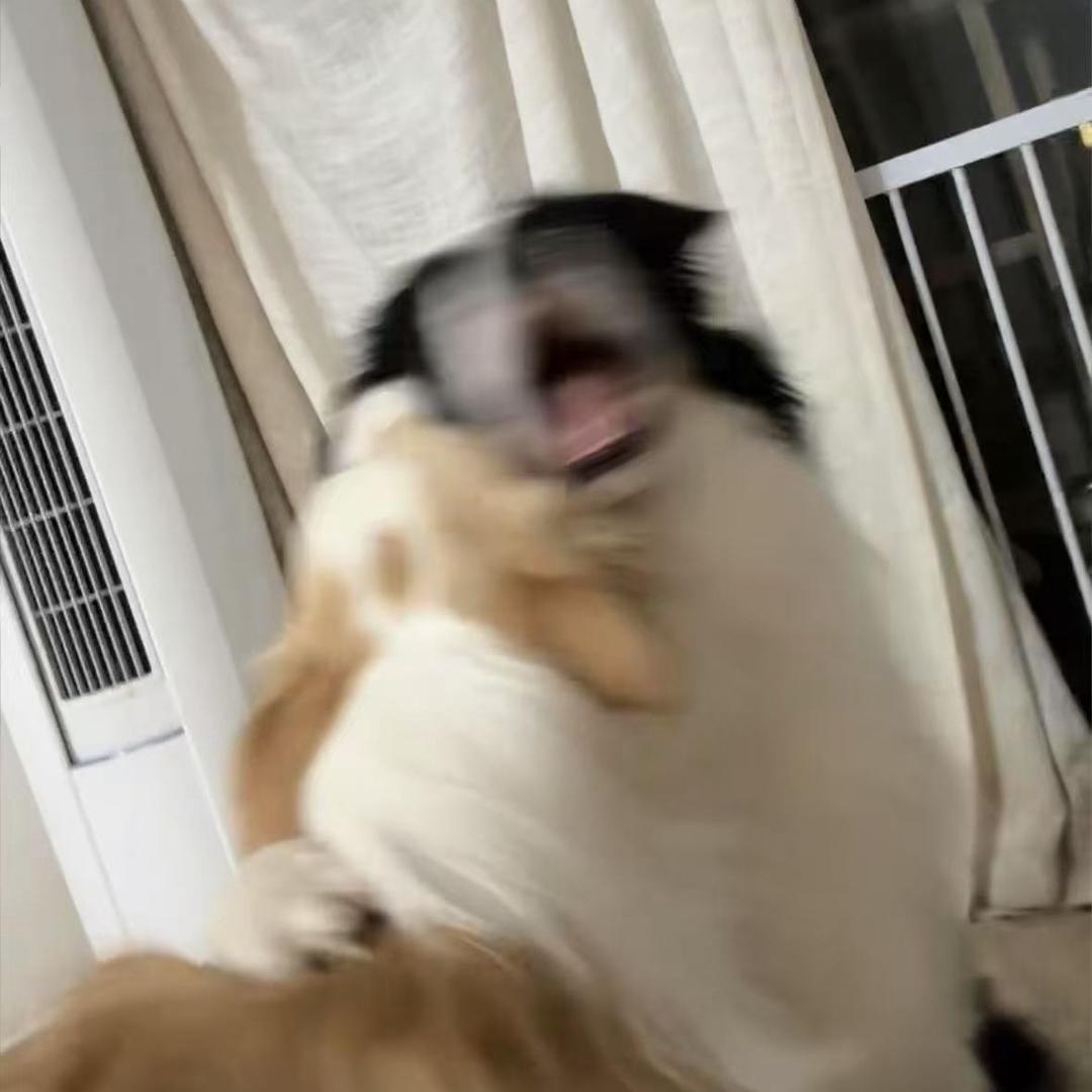 咚咚啾啾向前冲