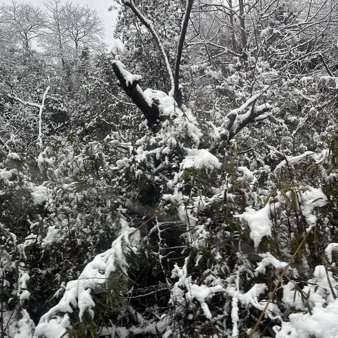 顺其自然，走起