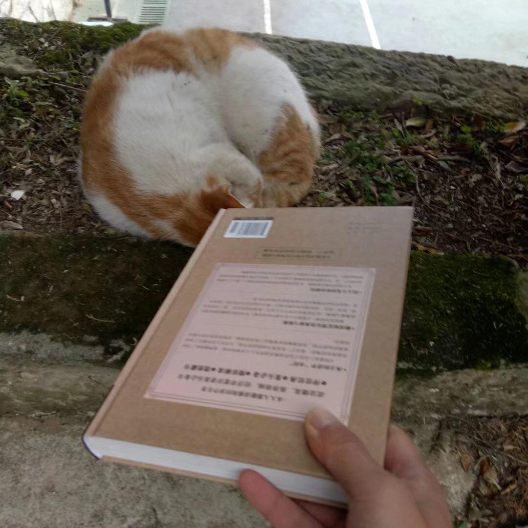 口元贝斗