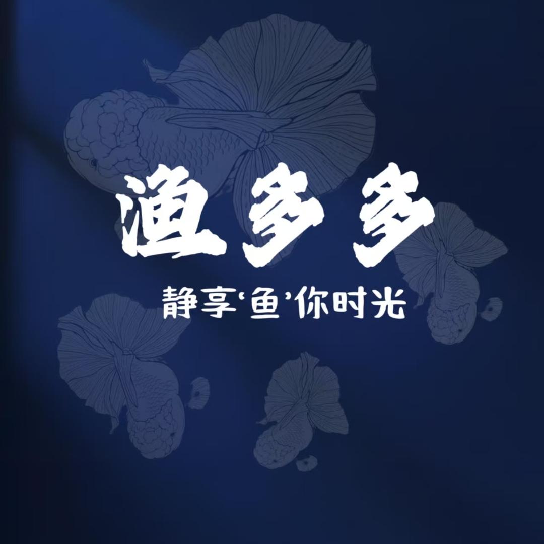 渔多多金鱼屋