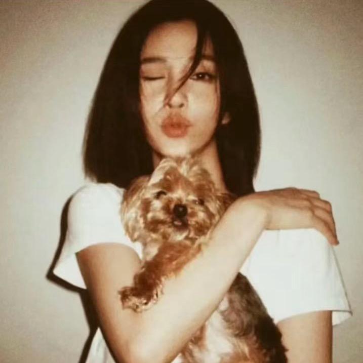 一只小蚊子