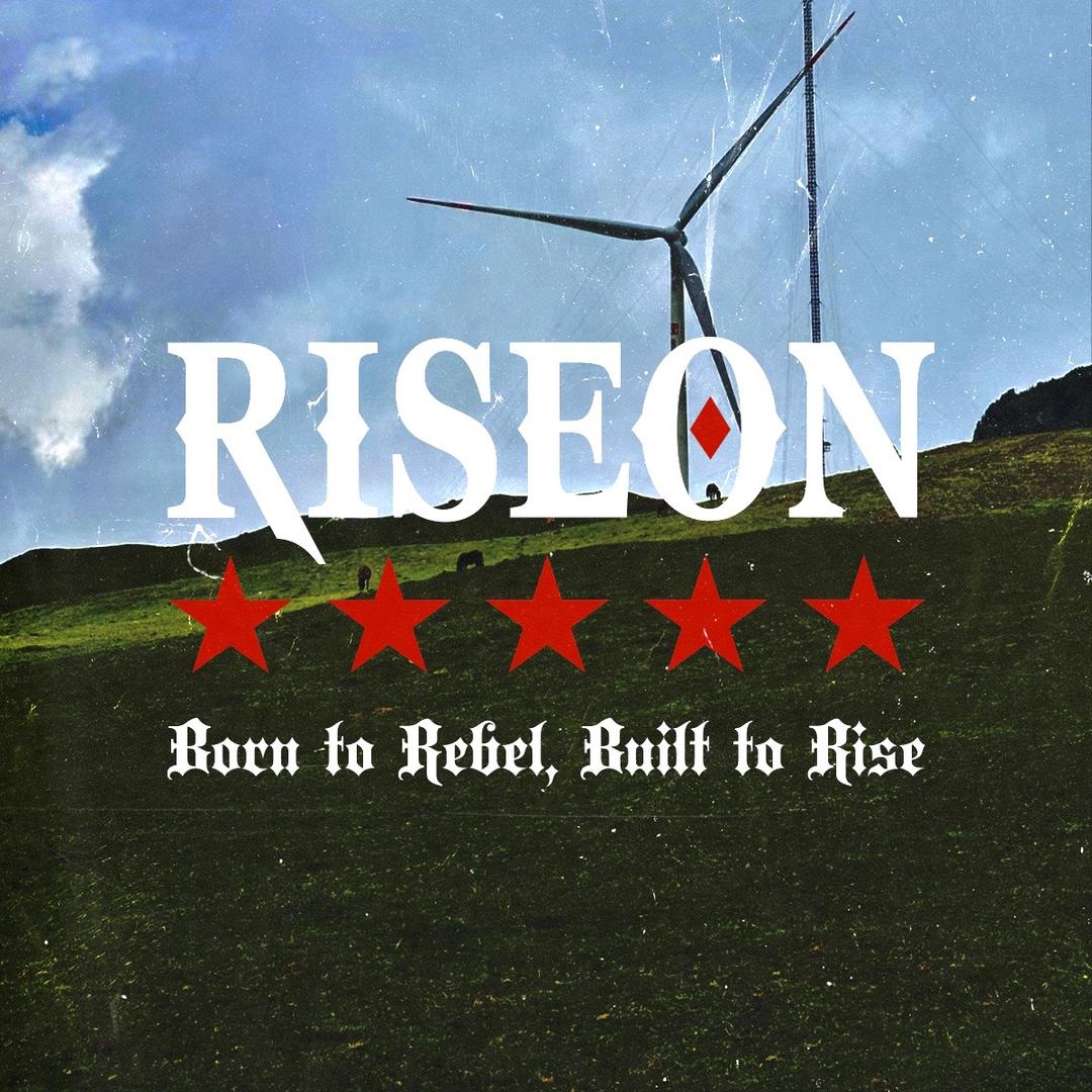 RISEON店铺号