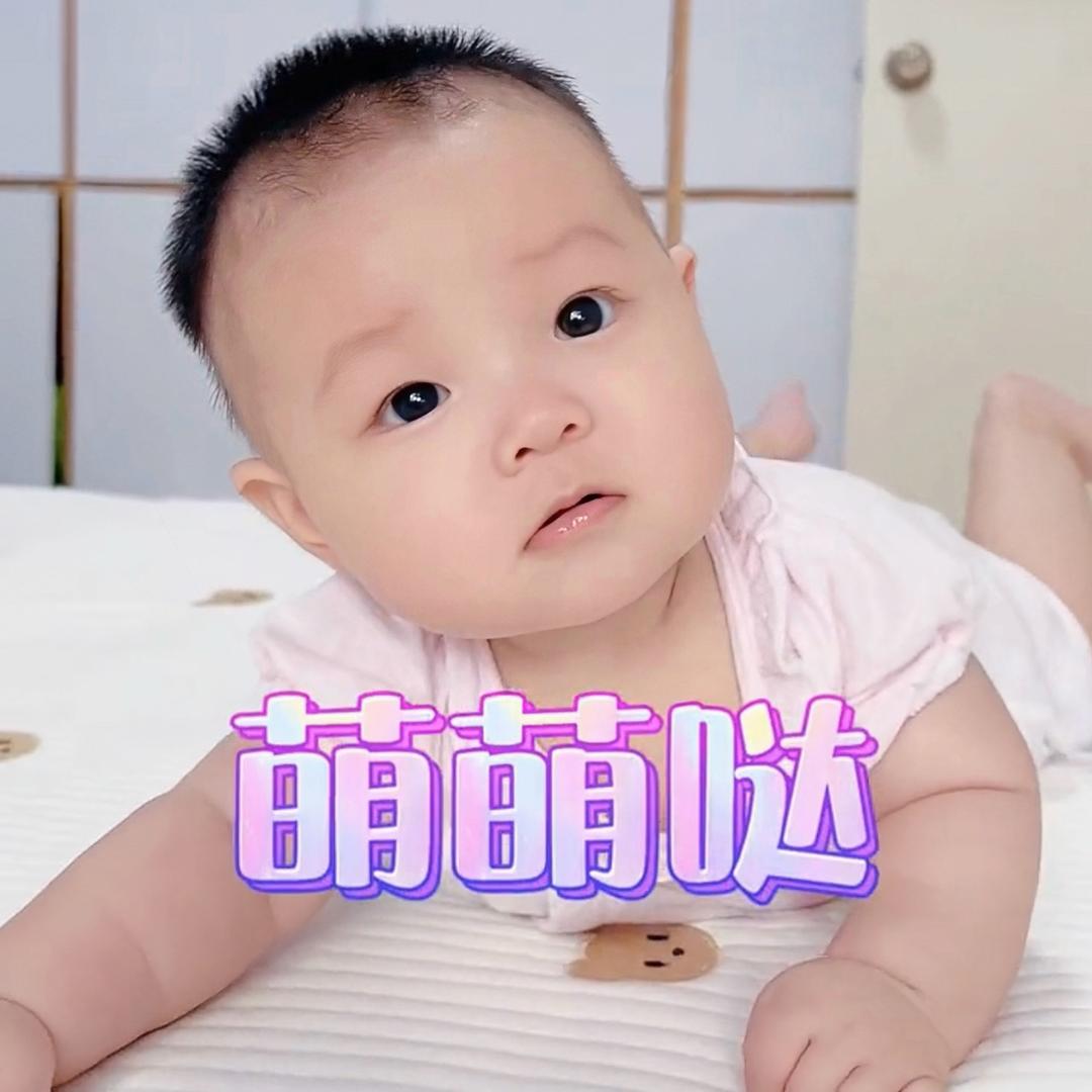 一只小甜馨