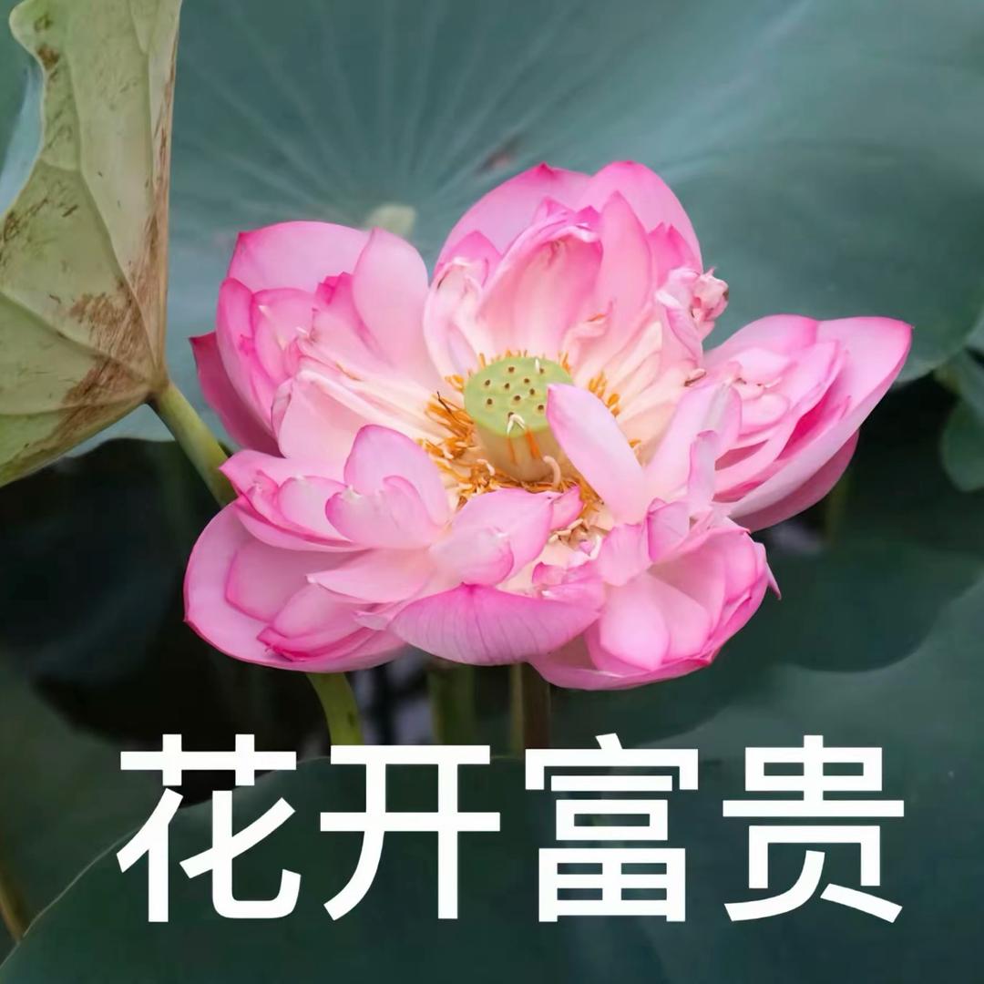 今天不熬夜了