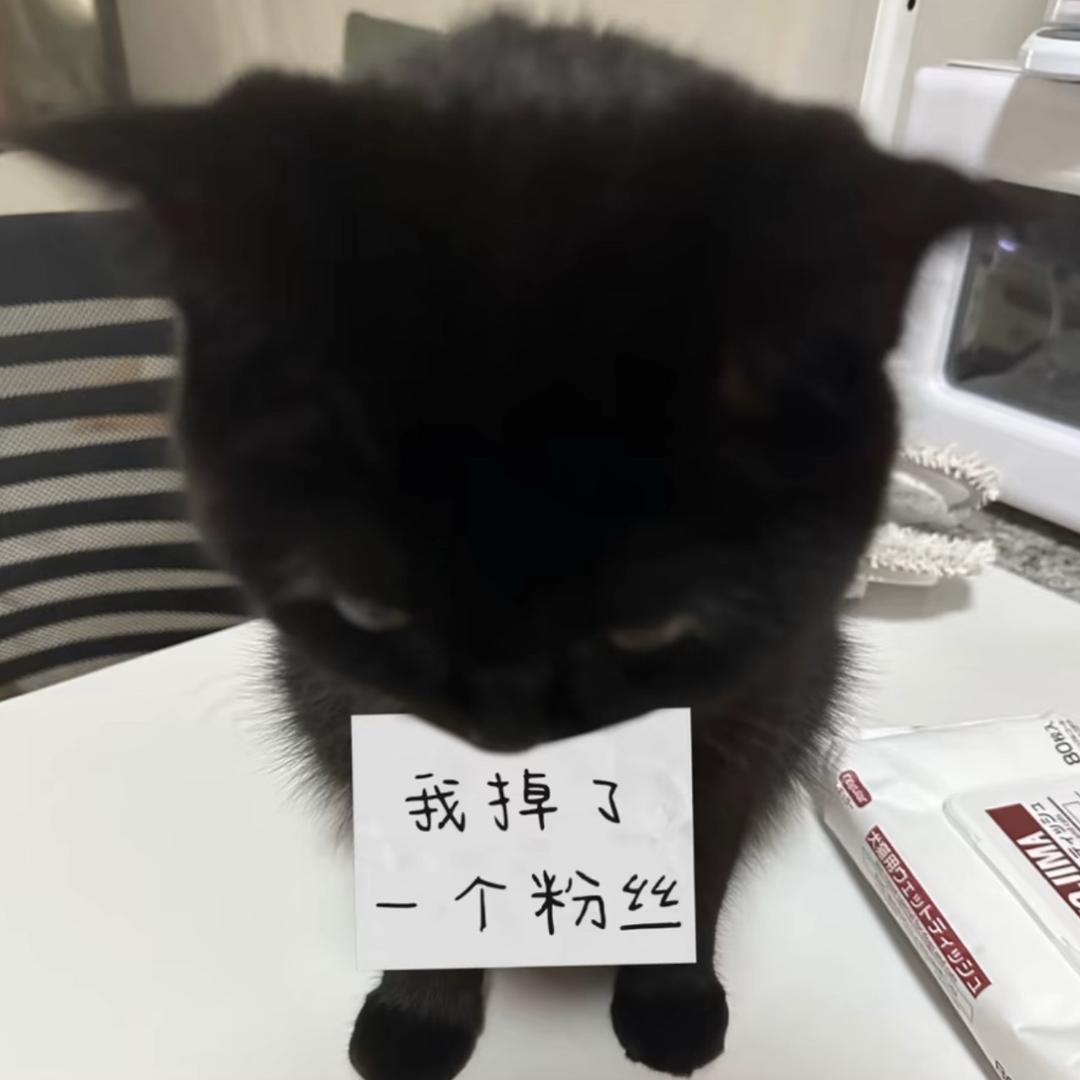 4U王子