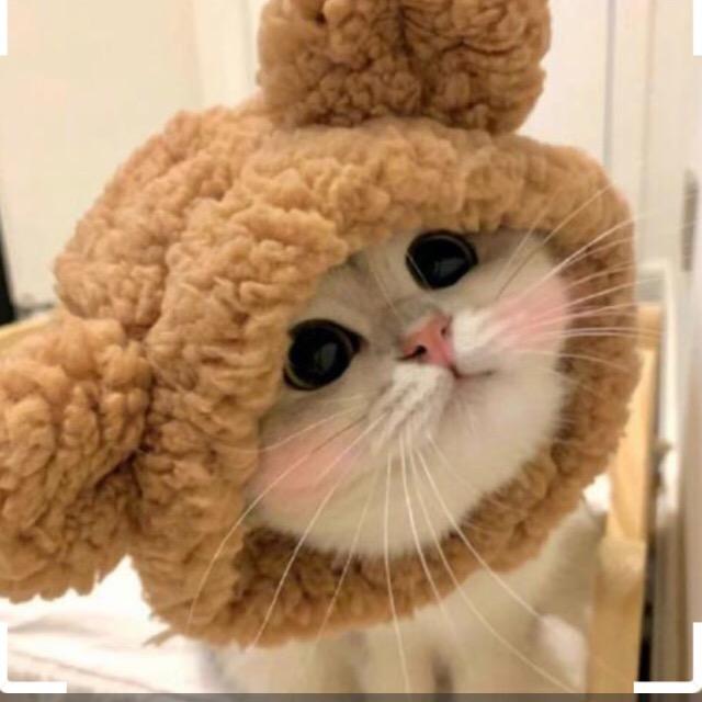 我女儿她妈很萌