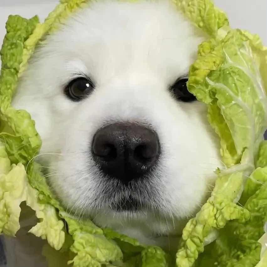 one特曼