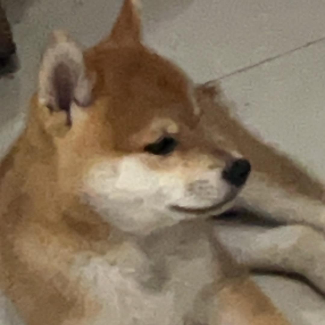 蛋卷