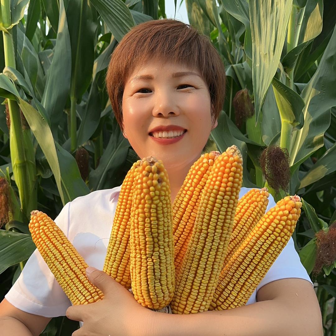 佳玉东亚种业