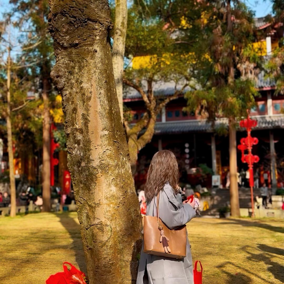 树洞有风