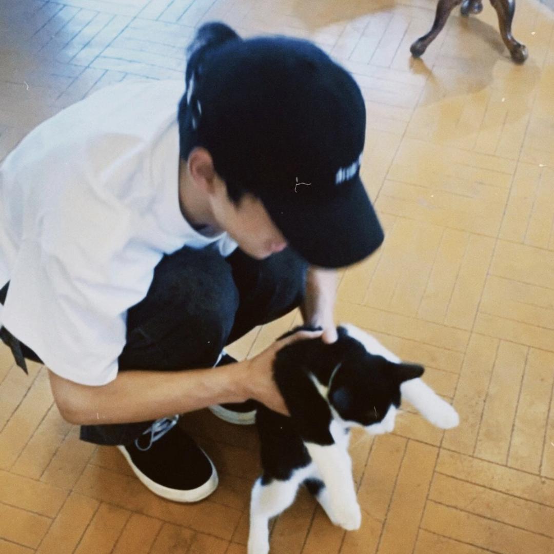 王。