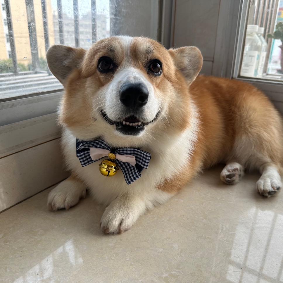 我在利雅得吃炸鸡