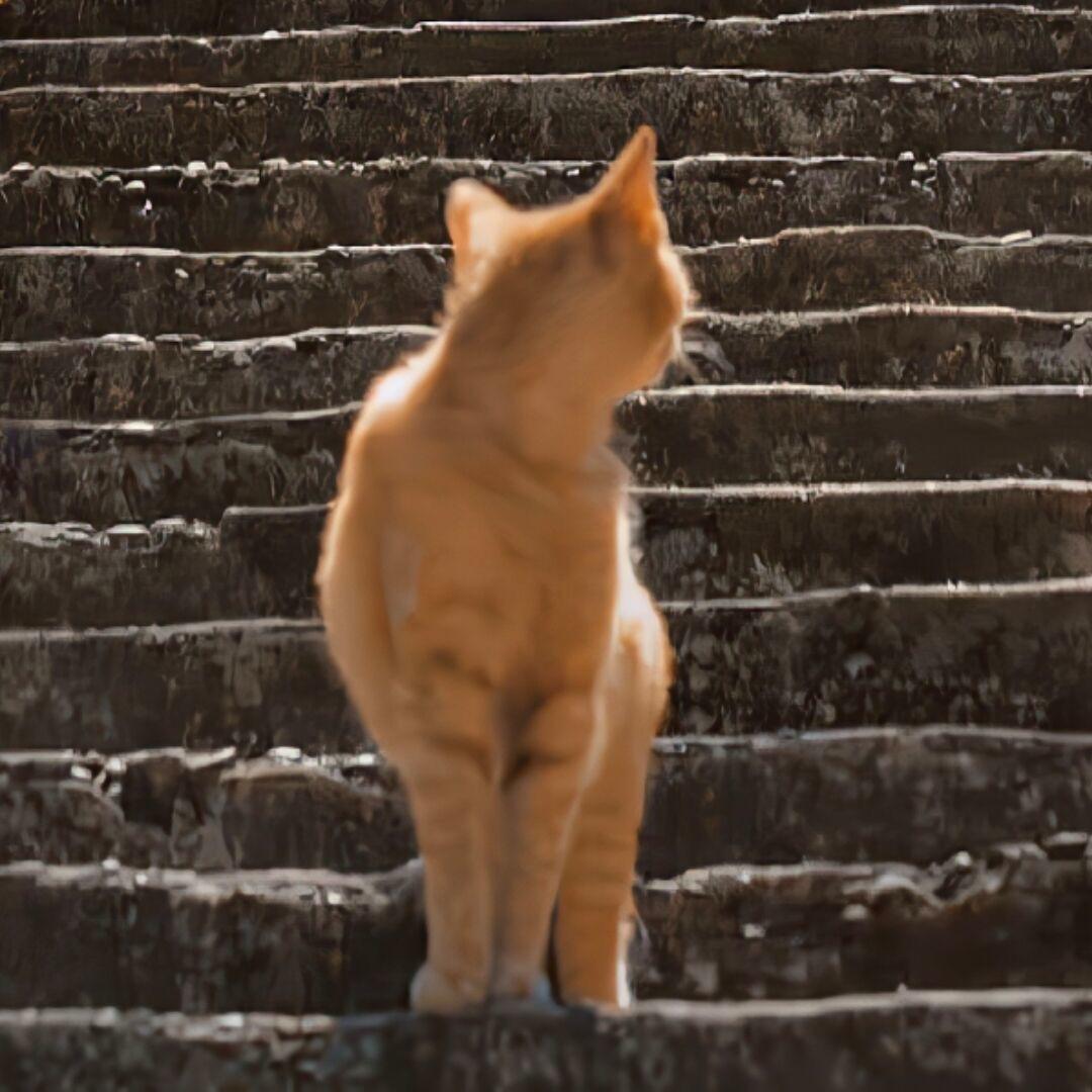 争取不饿死