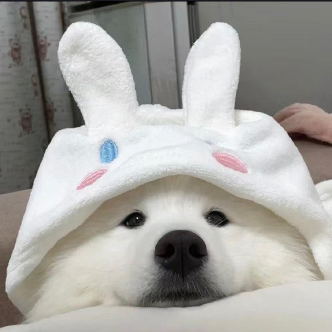 卡哇滴咔～
