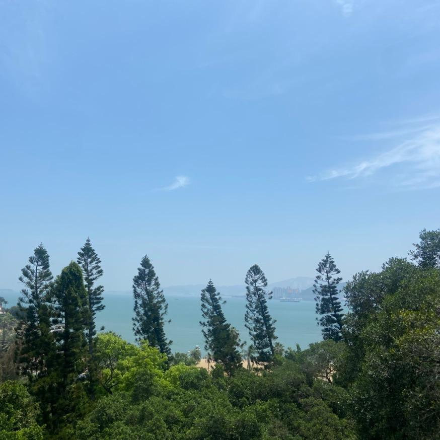 陈二宝🏡