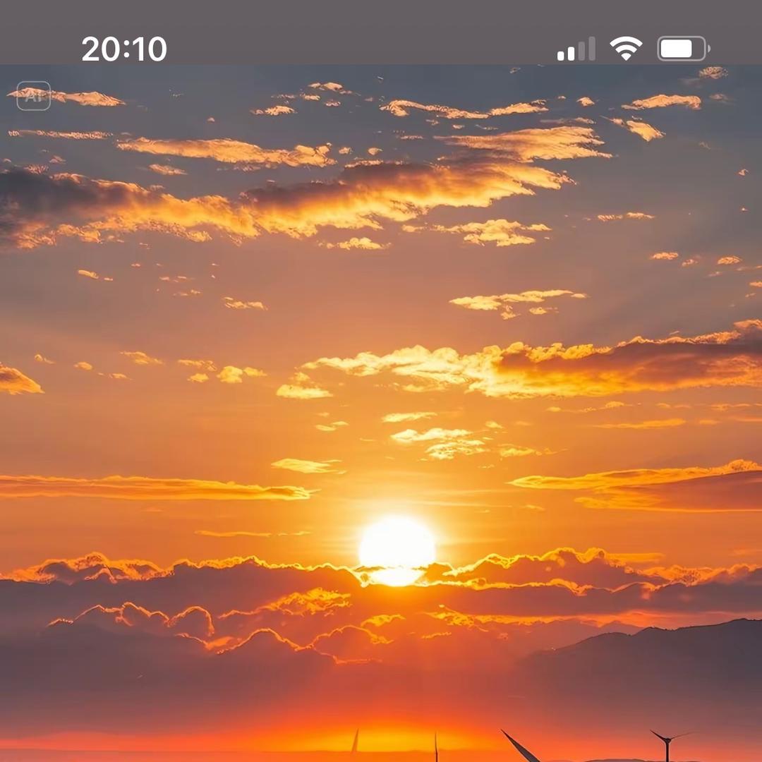 不爱吃桃🍑的人