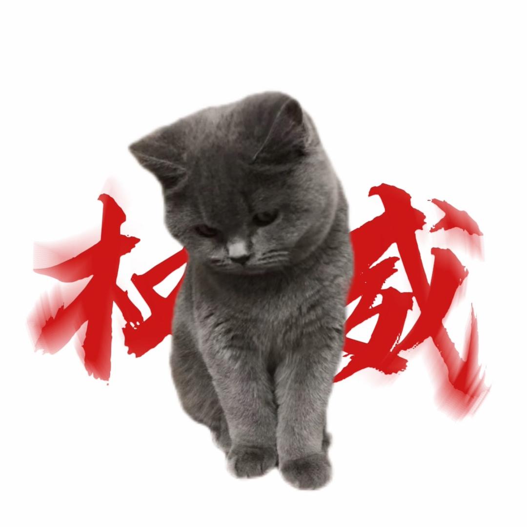^KoTove-