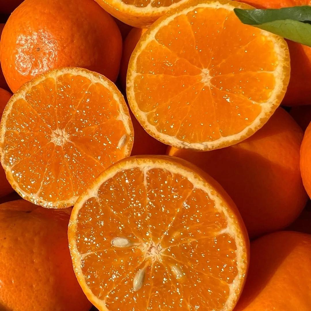 赣南脐橙原产地发货