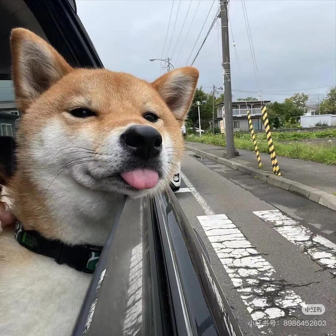 提拉米醋
