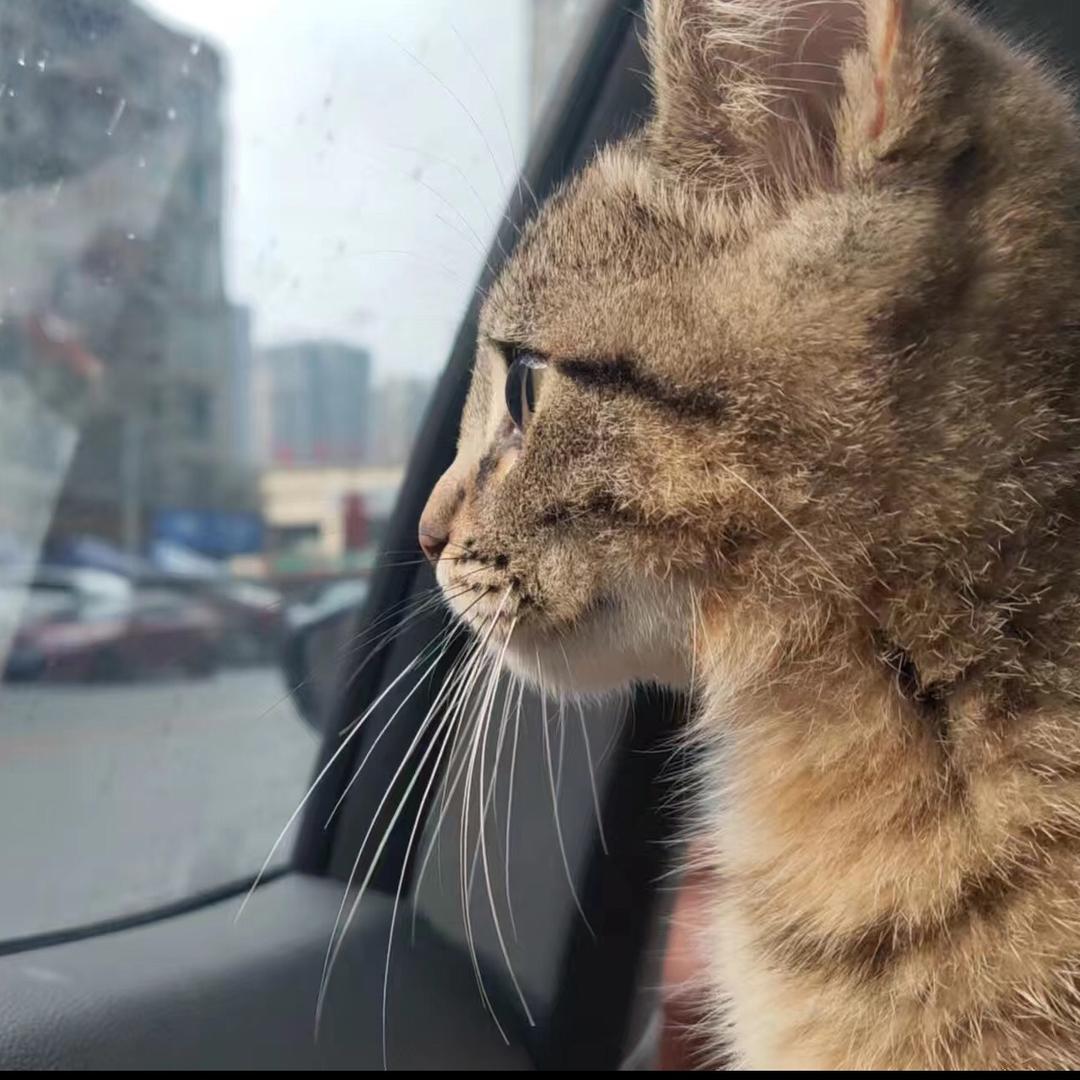 家中有长安