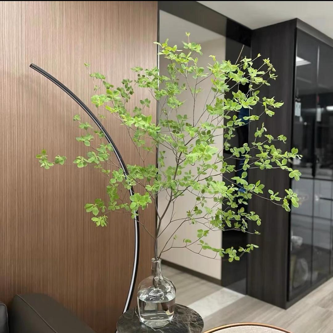 范先生（草本小铺）