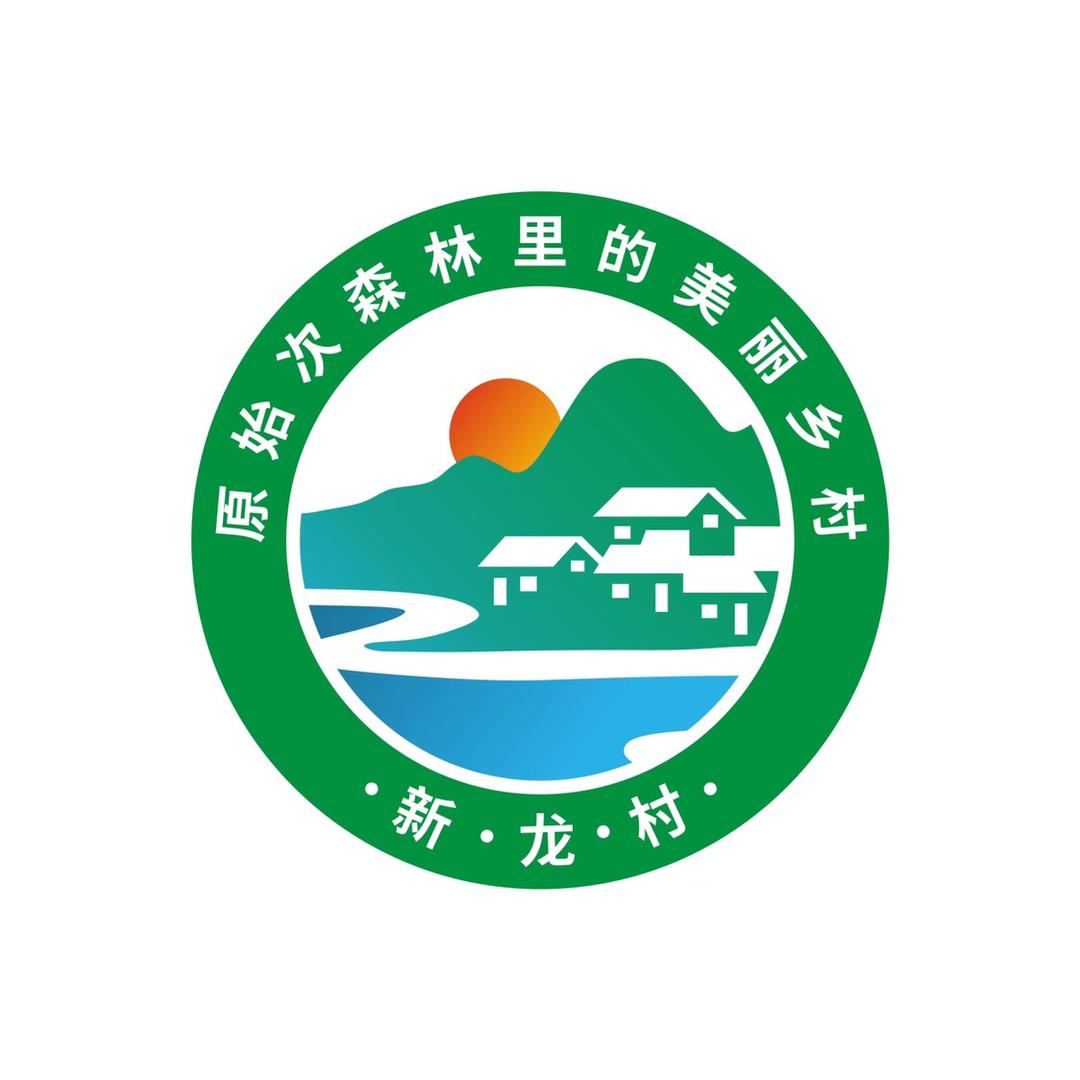 新龙村
