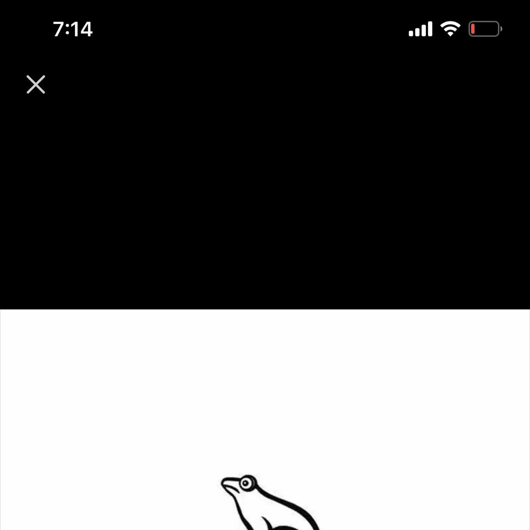 卡丹路润财专卖店