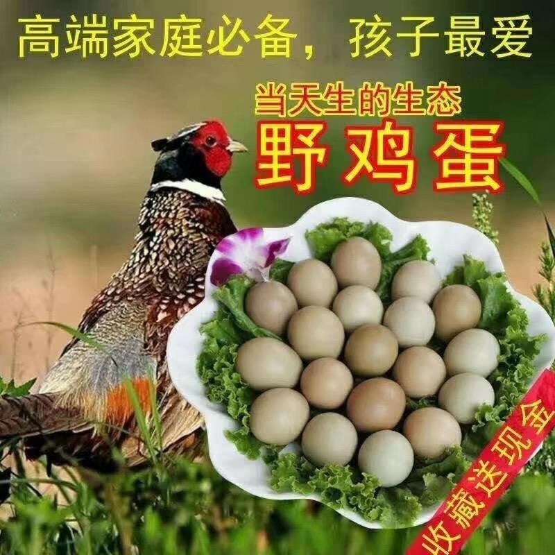 小涛养殖场