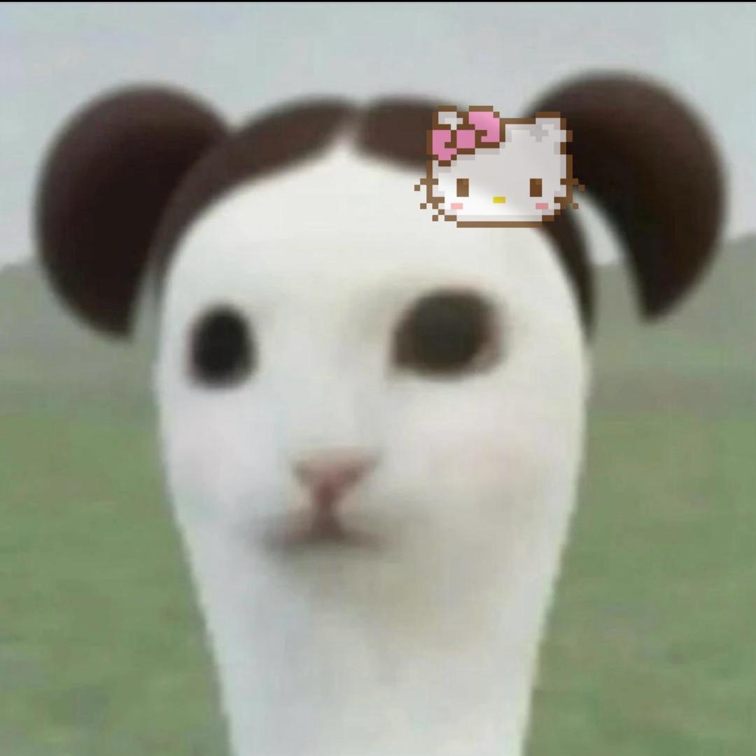 bi8bo