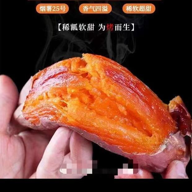 山东原产地烟薯25号