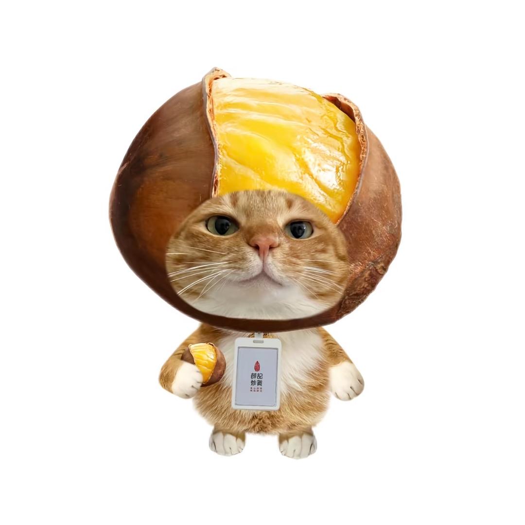 污克梨梨梨梨梨梨