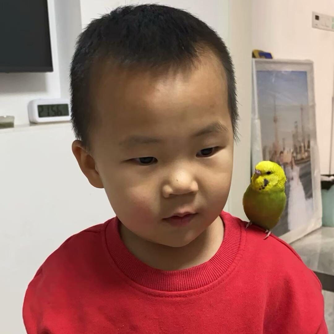 我是菜王