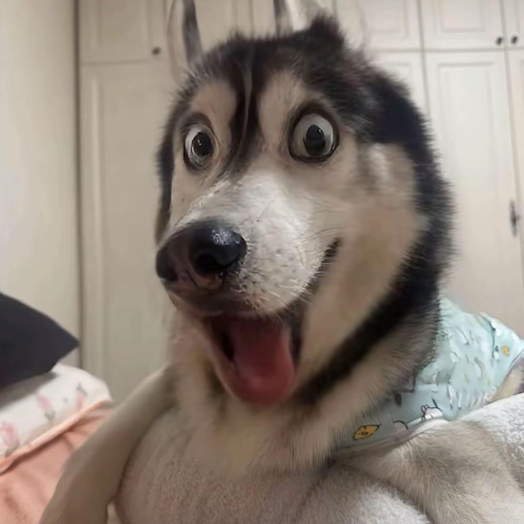 北遇