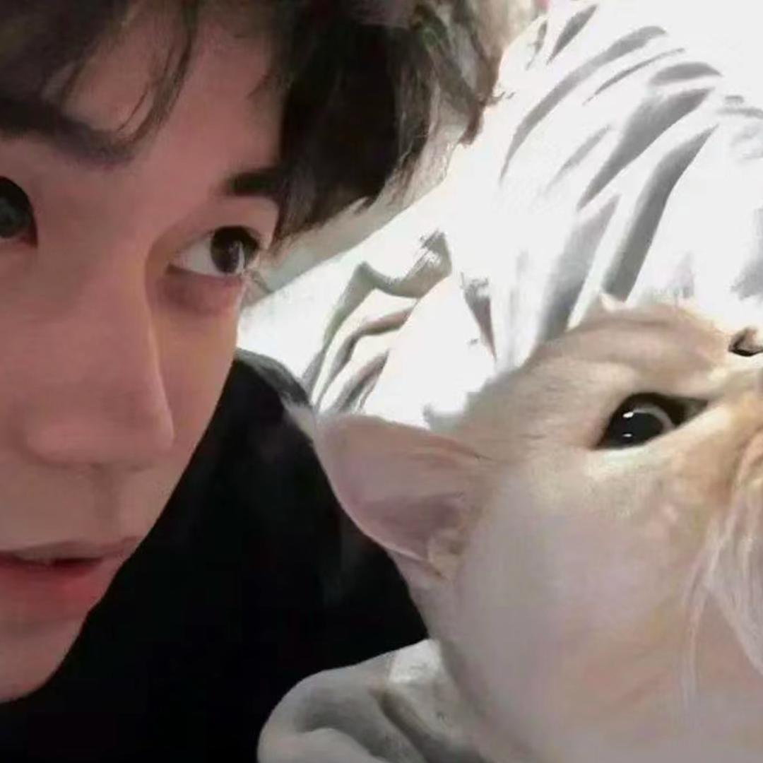 祭奠我死去的脚皮