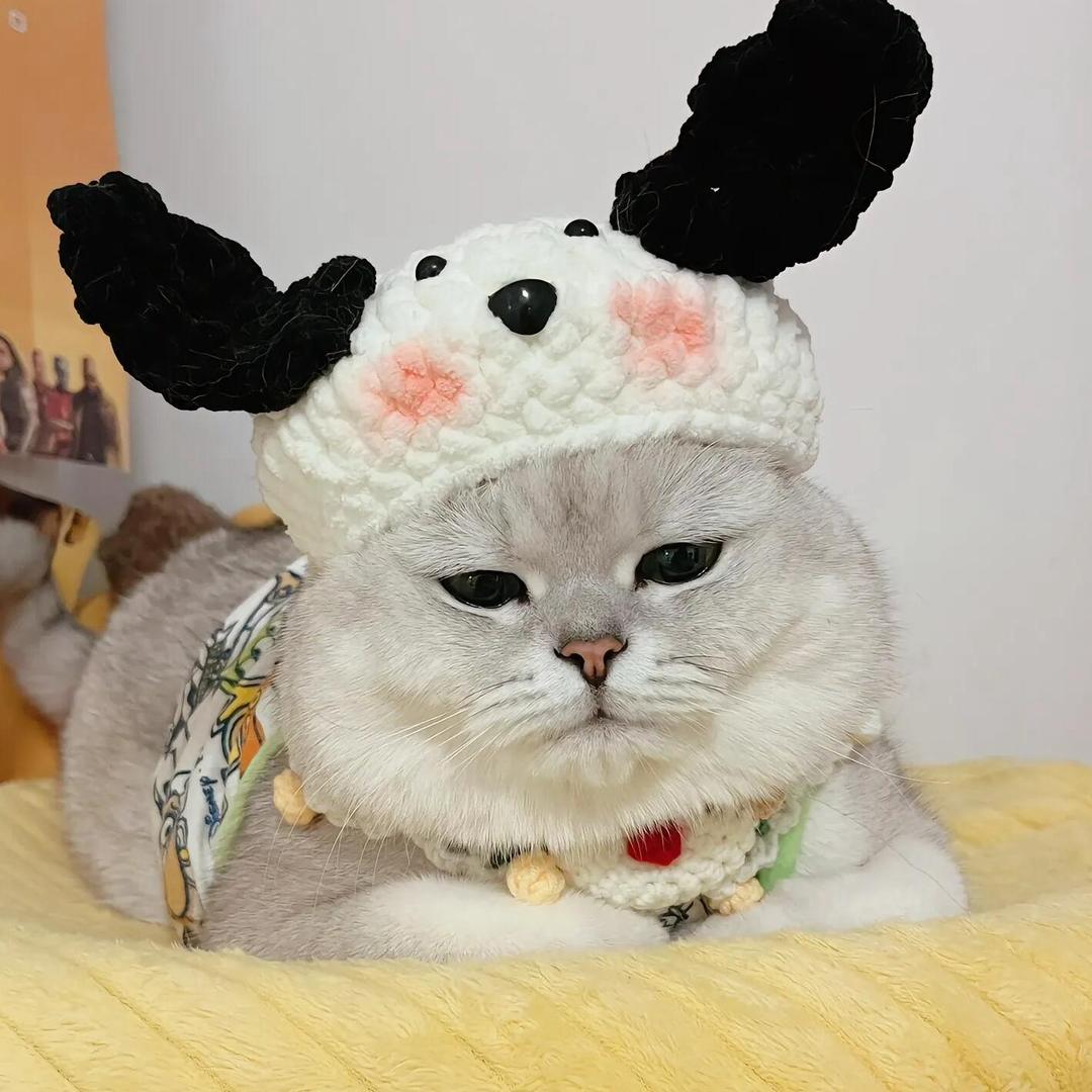 钱多多的朋友圈