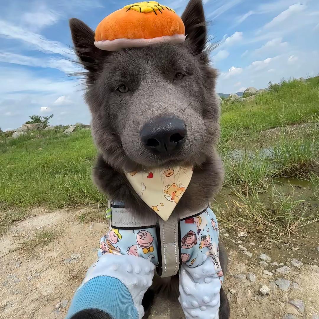 DXXXX